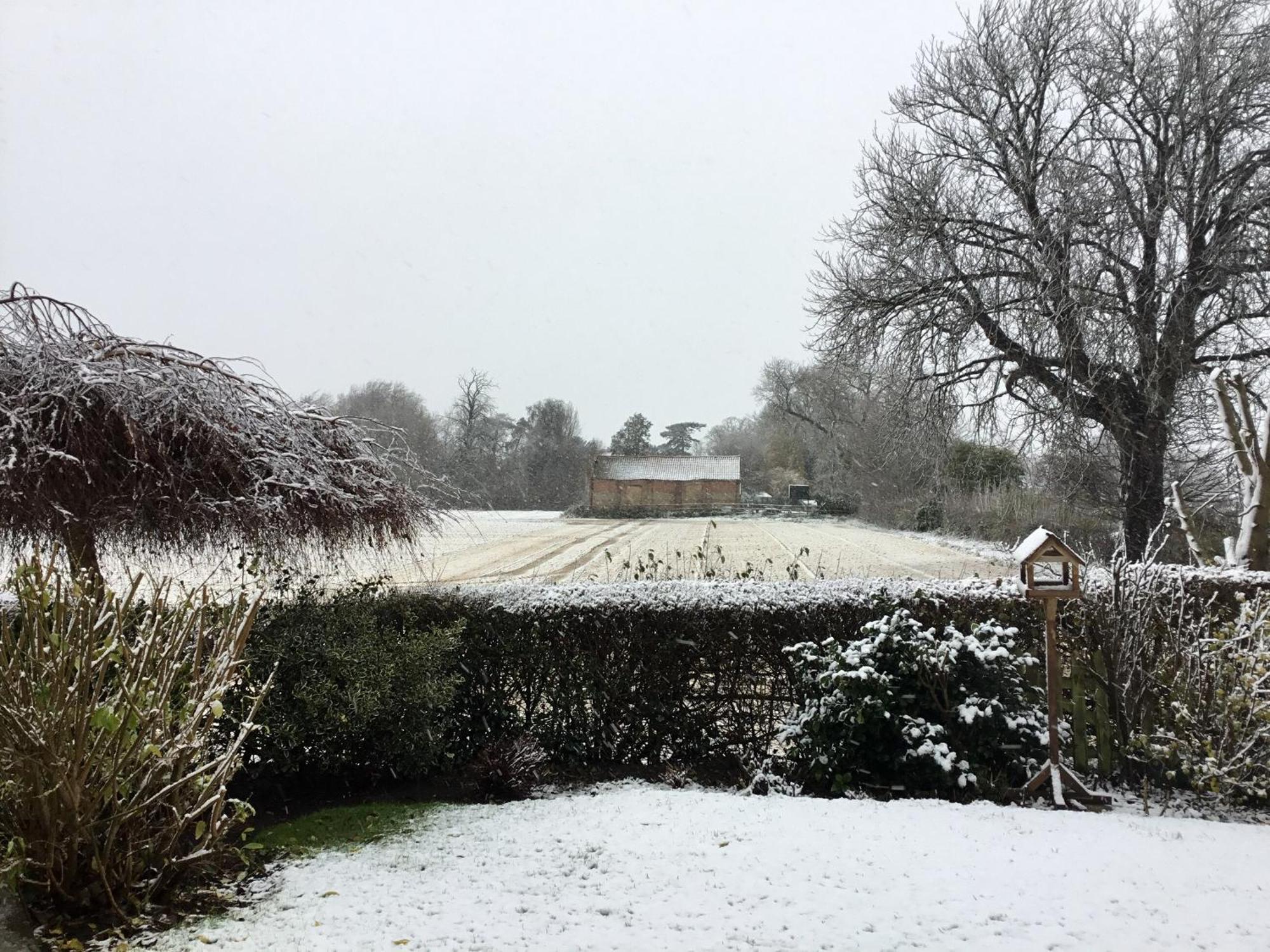 Greenbank Cottage Hilgay Exterior photo